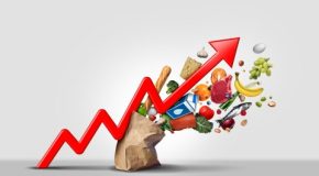 Pouvoir d’achat (octobre 2022) : Le secteur alimentaire subit durement la flambée de l’énergie