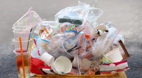 Déchets plastiques : Ce qui change en 2023